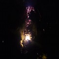 Vandali danno fuoco ad una palma nel Parco Comunale