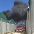 Incendio in un'azienda florovivaistica di Terlizzi, nube nera copre la città (FOTO e VIDEO)