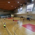 Il Futsal Terlizzi fa 13