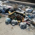 Abbandono rifiuti: «Fenomeno in aumento sulla Terlizzi-Bitonto»