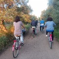 'Vivila in bici': un venerdì differente verso il Santuario di Sovereto