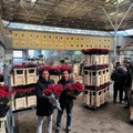 Mercato dei fiori Terlizzi, grande festa il 18 aprile