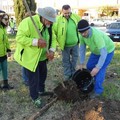 I volontari di Puliamo Terlizzi piantano un abete