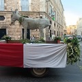 Festa del ciuccio a Terlizzi: tutte le foto