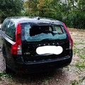 Grandinata violentissima su Terlizzi: danni a colture e auto