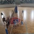 Prima gioia stagionale per i ragazzi di Scuola di Pallavolo Terlizzi