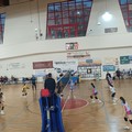 Scuola di Pallavolo Terlizzi si arrende allo Sportilia Volley Bisceglie