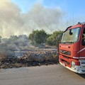Fiamme in una vasta area in via Chicoli a Terlizzi: sul posto i Vigili del Fuoco