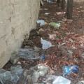 La pineta di viale della Resistenza è una discarica a cielo aperto - FOTO