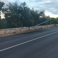 Vigile del Fuoco investito da un'auto pirata sulla strada Terlizzi-Molfetta