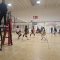 Trasferta lucana per la femminile di Scuola di Pallavolo Terlizzi