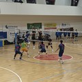 Under 19, Scuola di Pallavolo Terlizzi è tra le fantastiche quattro di Puglia