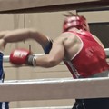 Al  "PalaChicoli " di Terlizzi si sono espressi nuovi talenti del pugilato