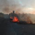 Ancora incendi nelle campagne terlizzesi