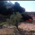 Incendio in zona Pozzo Soldano, bruciati alberi di ulivo