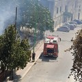 Incendio di sterpaglie in via Carelli