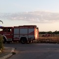 Due incendi a Terlizzi nella giornata di ieri, uno in periferia