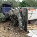 Autocarro finisce in un uliveto. Ipotesi guasto meccanico