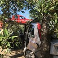 Auto fuori strada sulla Terlizzi-Giovinazzo: sul posto i Vigili del Fuoco
