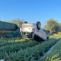 Auto si ribalta sulla Terlizzi-Giovinazzo