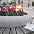 A Terlizzi il guerrilla marketing per sostenere La Gazzetta del Mezzogiorno