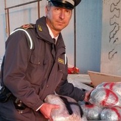 Bari, una tonnellata e mezzo di marijuana nascosta in un camion