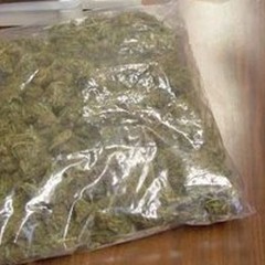 Un chilo di marijuana in una casa del centro storico di Terlizzi