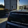 Tentato furto al camion in sosta, la Metronotte sventa un colpo a Terlizzi