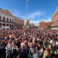 Orgoglio Olivicolo: «15 ottobre conferenza Stato-Regioni, poi pronti a manifestare a Roma»