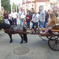 Attacchi d'epoca, ritorno al passato / FOTO