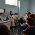 Polo Liceale di Terlizzi, dopo il diploma il sogno di un lavoro nella ricerca e nella cura