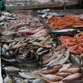 Terlizzi, pesce senza etichetta: commerciante pizzicato dalla Guardia Costiera