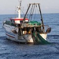Scatta fermo pesca in Adriatico, stop fino al 27 agosto