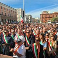 Ecco da dove arriva l'olio che sta rovinando gli olivicoltori di Terlizzi - VIDEO