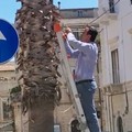 Cavo elettrico penzolante: arriva il Consigliere Ruggiero e mette a posto le cose (VIDEO)
