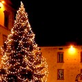 Un albero di Natale per Terlizzi