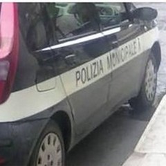 Polizia municipale, da lunedì sarà in viale Pacecco