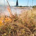Principio d'incendio tra le sterpaglie in viale Del Lilium