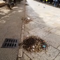 Iniziata a Terlizzi pulizia caditoie e griglie stradali da parte della SANB