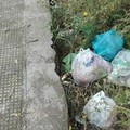 Foto-trappole e riprese di nascosto contro chi abbandona i rifiuti