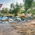 Strada Terlizzi-Giovinazzo: è emergenza ambientale