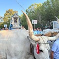 Arrivata a Terlizzi in processione l’icona di Maria Santissima di Sovereto – LE FOTO