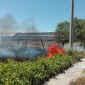 Sterpaglie in fiamme in Contrada Pozzo Rosso