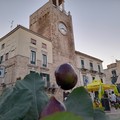 Sagra del fiorone: grande successo per le prime due serate - FOTO
