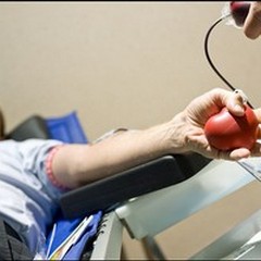 Oggi c'è la Giornata della donazione Fidas