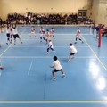 Coppa Puglia, Scuola di Pallavolo Terlizzi esce in semifinale