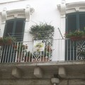 Toh chi si rivede... "Balconi in Fiore ", ecco tutti i premiati
