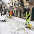 Neve, decine di uomini al lavoro per la sicurezza di persone e viabilità