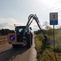 Lotta Xylella, proseguono interventi di sfalcio e misure fitosanitarie lungo la sp 231