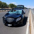 Ciclisti morti a Terlizzi, sequestrato il cellulare dell'investitore